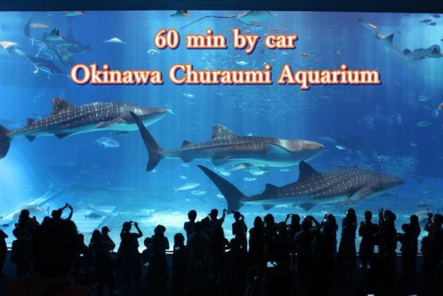 Mk Garden Βίλα Okinawa Εξωτερικό φωτογραφία